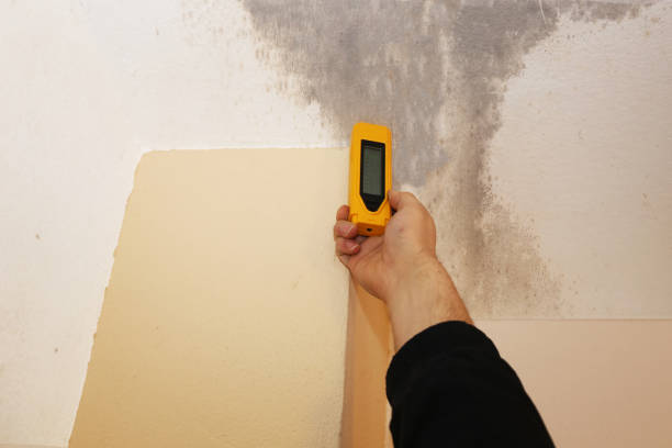 Best Residential Mold Inspection & Testing  in Framingham, MA