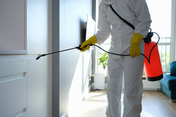 Best Crawl Space Mold Remediation  in Framingham, MA