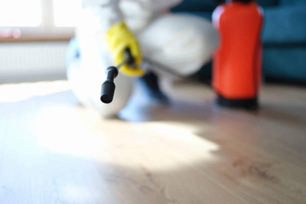 Best Mold Remediation for Healthcare Facilities  in Framingham, MA