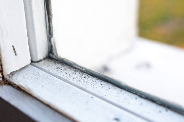 Best Air Quality Testing for Mold Spores  in Framingham, MA
