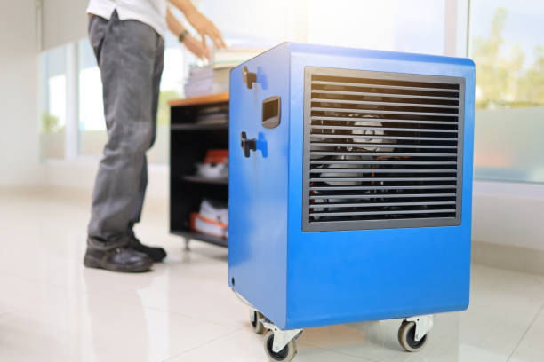 Best Comprehensive Air Testing for Mold Contaminants  in Framingham, MA