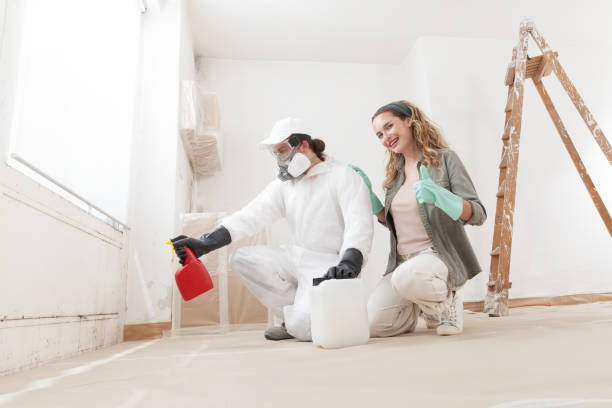 Best Mold Remediation for Rental Properties  in Framingham, MA