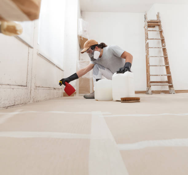 Best Emergency Mold Remediation  in Framingham, MA