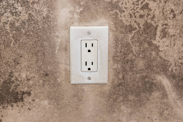 Best Forensic Mold Investigation  in Framingham, MA