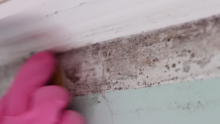 Mold Remediation for Rental Properties in Framingham, MA
